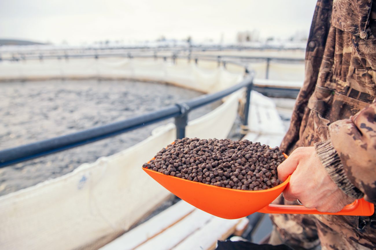 Feeding Salmon Natural, not synthetic, color Pigment and Nutrition Parilov © Shutterstock