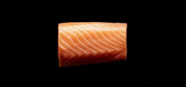 Salmon Scotland filet of salmon