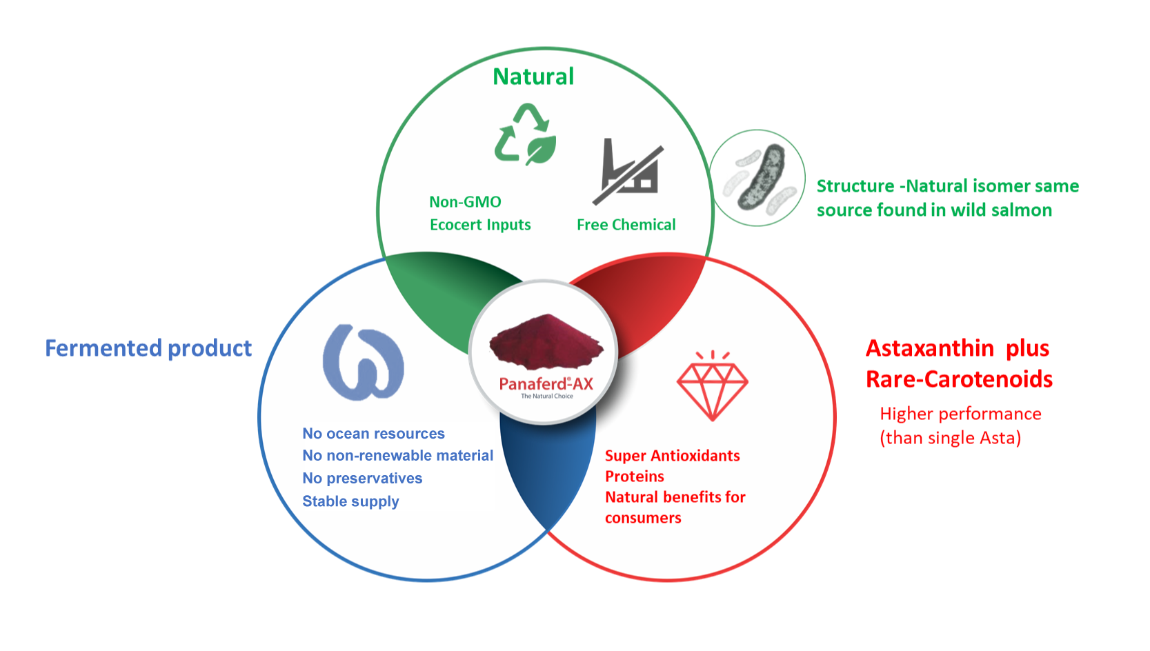 Panaferd diagram illustrating panaferd is a natural, fermented astaxanthin product with other rare carotenoids and proteins for salmon color and nutrition