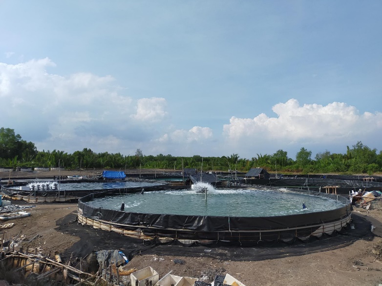 Salmon aquaculture with Panaferd in Vietnam