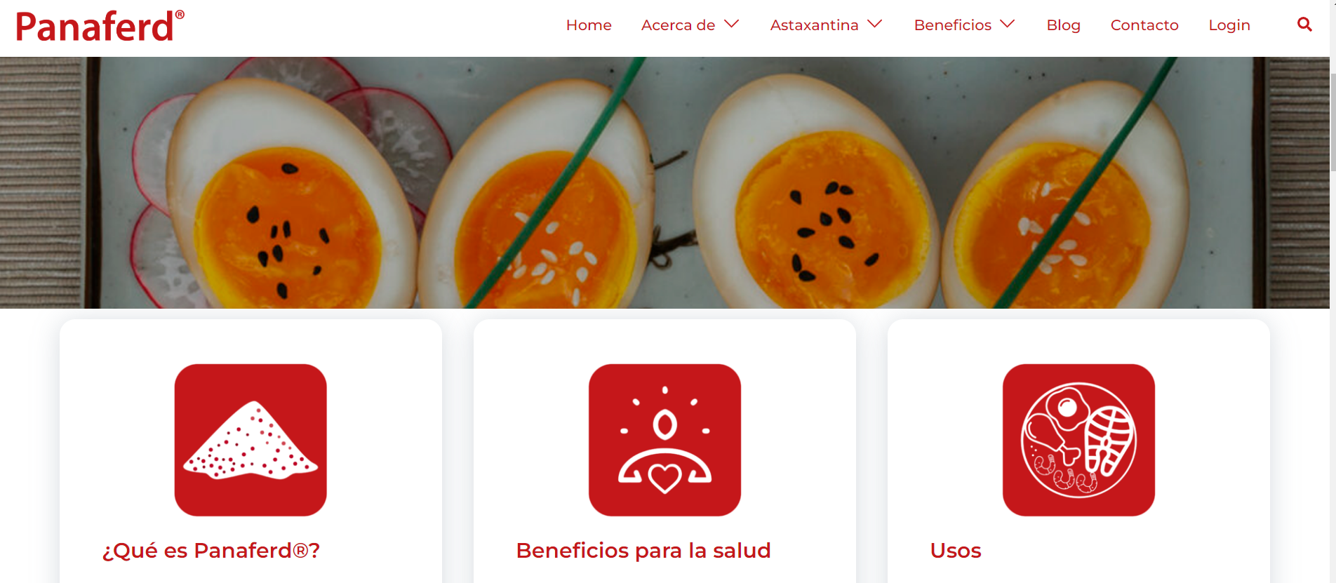 Panaferd Chile website